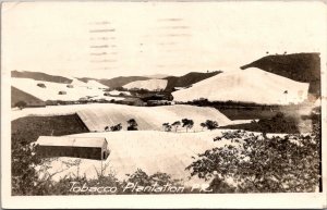 RPPC View Tobacco Plantation, Puerto Rico c1922 Vintage Postcard T63