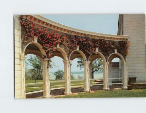 Postcard Restoration re-planting of coral honeysuckle, Mount Vernon, Virginia