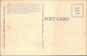 Vtg 1940's Kids and Kubs Softball Team St Petersburg Florida FL Linen Postcard