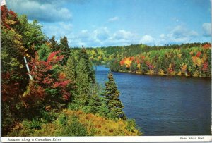 postcard Ontario, Canada - Algonquin Park - Autumn along a Canadian River