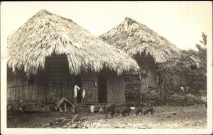 San Miguel Pearl Islands Thatch Homes & Wild Boars Real Photo Postcard spg