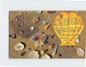 Postcard Within The Colorful Coils Of The Sea Shell, Eternal Call Of The Sea