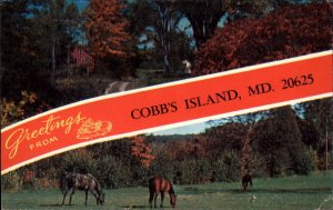 Cobb's Island Maryland MD Greetings Horses Vintage Postcard