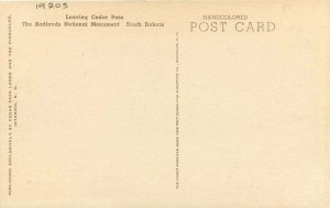 South Dakota Cedar Pass Badlands Monument Albertype Postcard 21-10896
