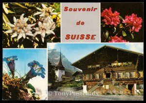 Souvenir de Suisse