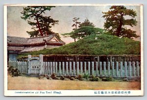 Kameinomatsu  An Old Pine Tree  Himeji  Japan Postcard