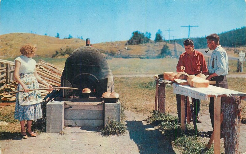 Canada Postcard Anse a Mercier Gaspe Nord old bread oven