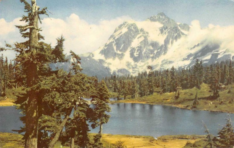 MOUNT SHUKSAN Washington Cascades Union Oil 76 Gas 1941 Vintage Postcard