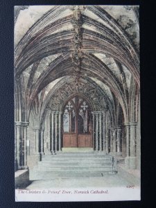 Norfolk NORWICH CATHEDRAL The Cloister & Priors Door c1907 Postcard by J. Welch