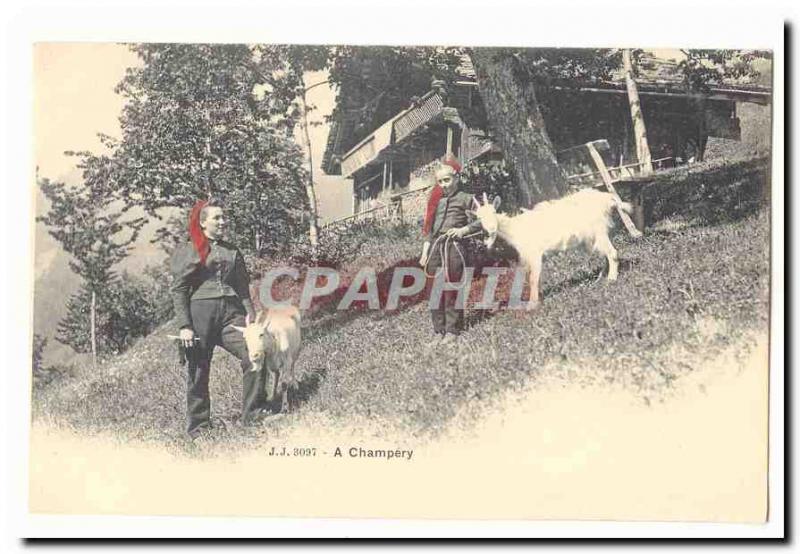 Old Postcard A Champery (goats goat)