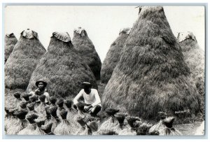 c1940's Barn Scene Buitenzorg West Java Province Indonesia RPPC Photo Postcard