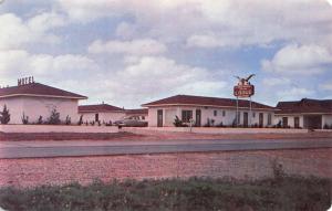 Sweetwater Texas Longhorn Motor Lodge Street View Vintage Postcard K24660