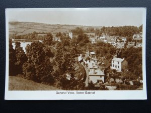 Devon STOKE GABRIEL VILLAGE General View c1950's RP Postcard