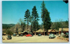 IDYLLWILD, CA California ~ STREET SCENE & BUSNESSES c1940s Cars Postcard