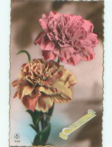 tinted rppc c1910 BEAUTIFUL FLOWERS AC9121