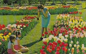 Canada Tulips Time In Ottawa Ottawa Ontario