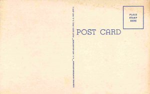 Water Buffalo Plow Farming Hawaii 1940s postcard