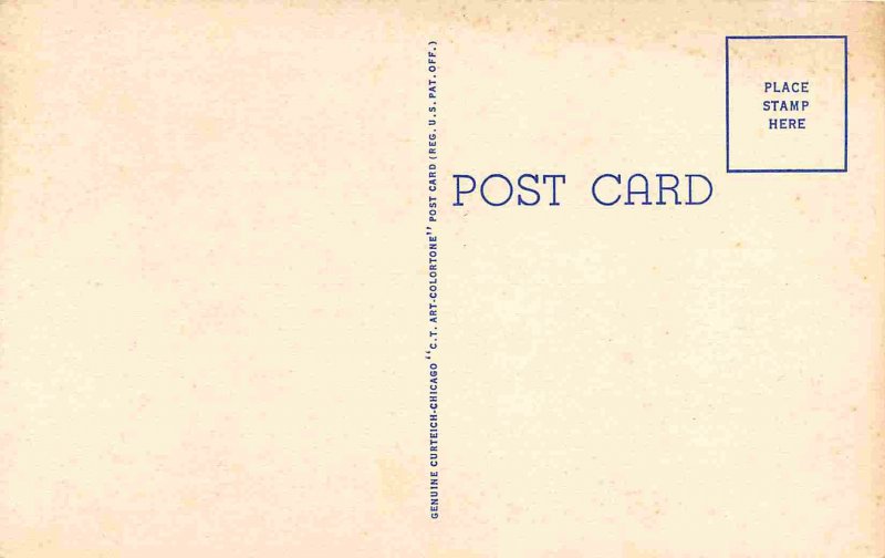 Water Buffalo Plow Farming Hawaii 1940s postcard