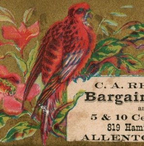 1880's C.A. Reger's Bargain Store 5 & 10 Cent Goods Red Bird Image P175