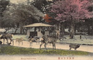 Beautiful Early c.1908, Kasuga Park at Nara, Old Post Card