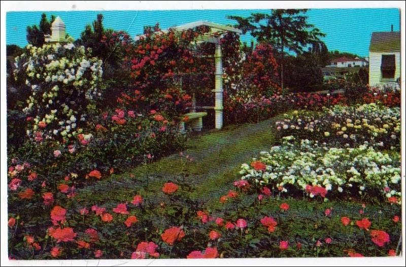 Jackson & Perkins Rose Garden, Newark NY