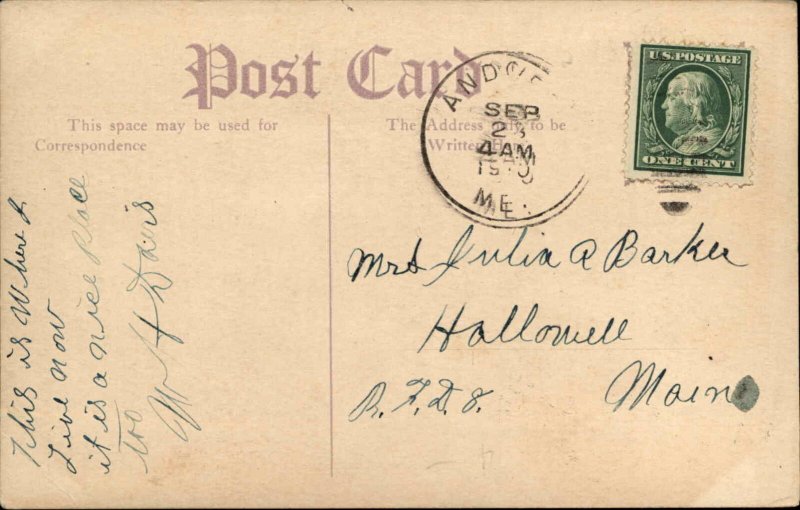 Andover Maine ME Hotel Twitchell c1910 Vintage Postcard