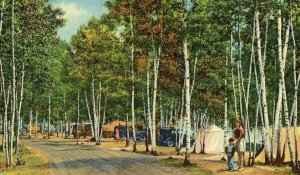 Postcard Fish Creek State Camp Grounds between Tupper & Saranac Lakes, NY     Q6