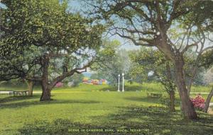 Scene In Cameron Park Waco Texas