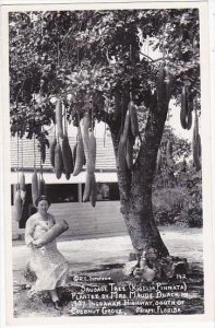 Florida Miami Coconut Grove Sausage Tree Planted 1907 Real Photo RPPC