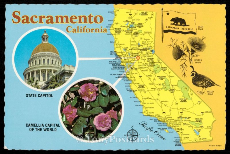 Sacramento, California - Camellia Capital of the World