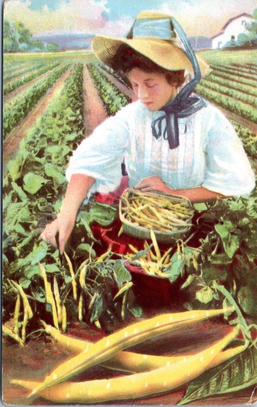 Postcard advert IL Rockford - Buckbee Seeds - Woman Picking Peas