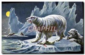 Old Postcard Polar Bear