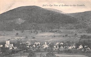 Bird's Eye View Roxbury, New York  