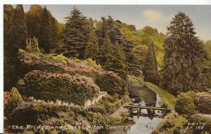 Staffordshire Postcard - The Bridge and Canal - Alton Towers   ZZ182