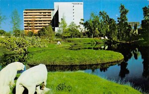 La Brea Tar Pits, Hancock Park Los Angeles CA