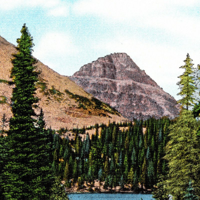 Vintage 1930s Reed's Park Mirror Lake Wasatch National Forest Postcard Utah