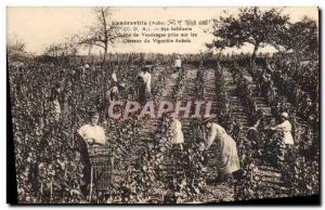 Old Postcard Folklore Vine Harvest Scene Landreville harvest taken on the hil...