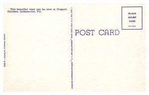 Postcard GARDEN SCENE Jacksonville Florida FL AR6246