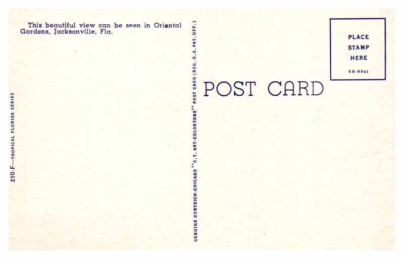 Postcard GARDEN SCENE Jacksonville Florida FL AR6246