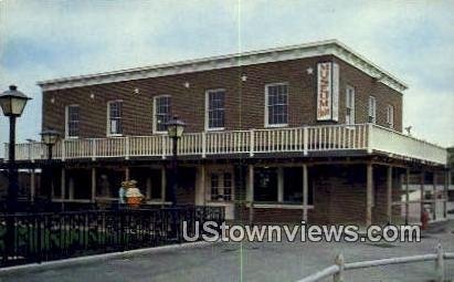 Museum, Pioneer Park - Aurora, Illinois IL