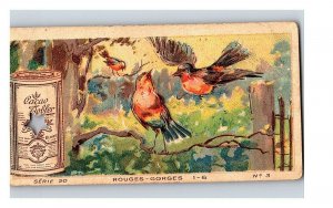 Vintage 1890's Victorian Trade Card Toblerone Swiss Chocolate - Colorful Birds