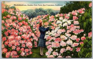 San Francisco California 1954 Postcard Rhododendrons Golden Gate Park