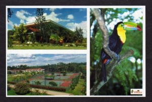 Costa Rica Tilajari Hotel Resort Tennis Courts, Bird Postcard Carte Postale