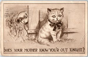 Does Your Mother Know Youre Out Tonight Dog Spying On Cat Postcard Posted 1910