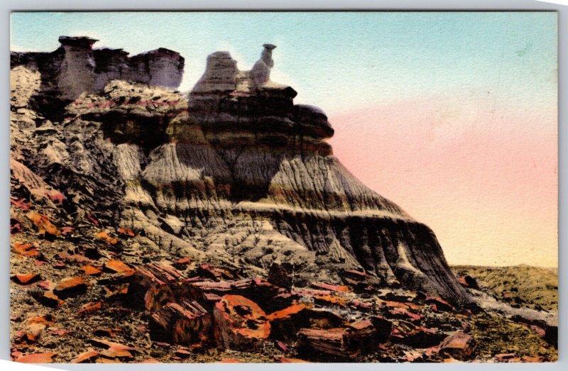 Snow Lady Petrified Forest Holbrook AZ UNP Hand Colored Albertype Postcard F17