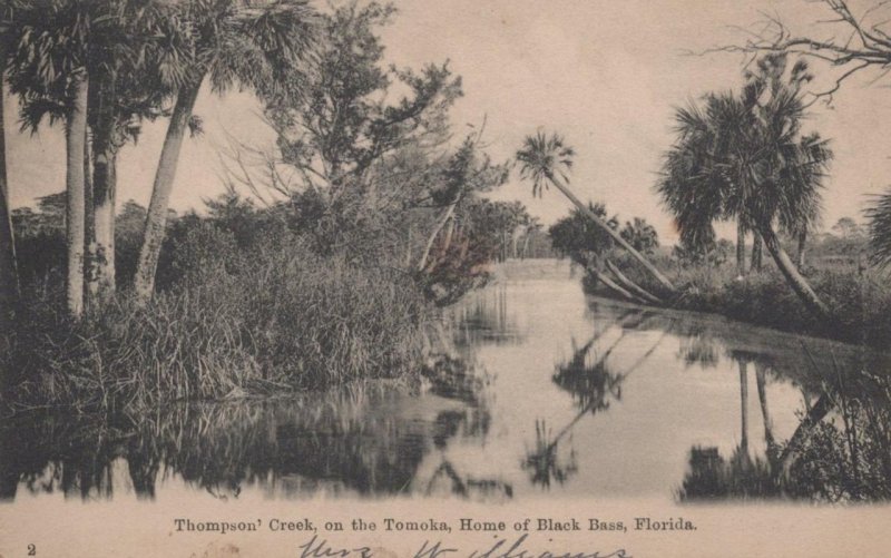 THOMPSON CREEK TOMOKA HOME OF BLACK BASS FLORIDA POSTCARD 1907