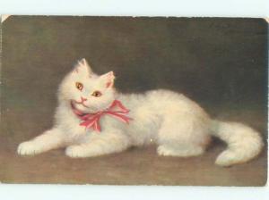 Pre-Linen CUTE WHITE SMILING KITTEN CAT AC5454