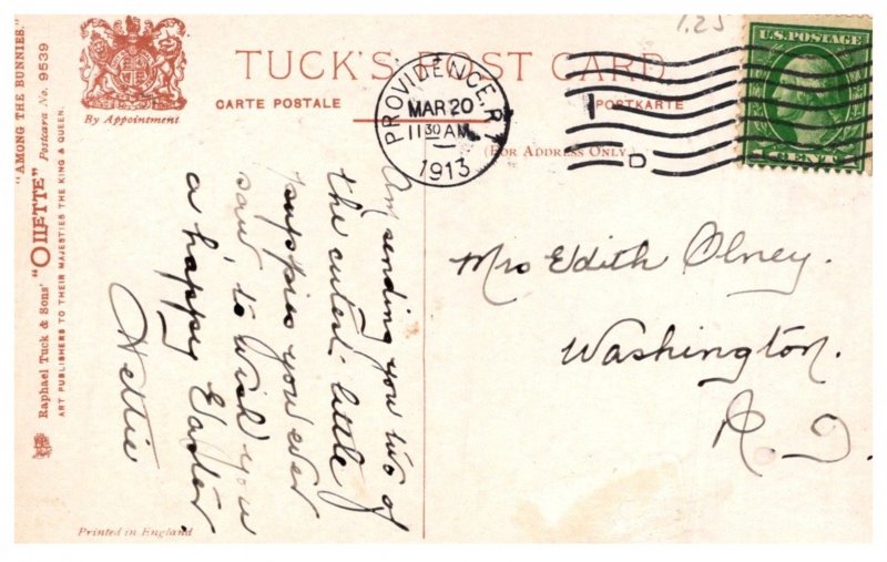 Dog ,  Puppies  and Rabbitt