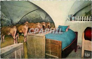 Postcard Modern Interior Upper Mountain winter Cows