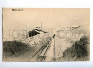 235428 NORWAY HALLINGSKEID Railway Station Vintage postcard